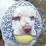 Training: image 1 0f 4 thumb